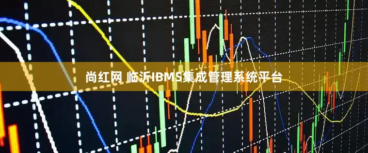 尚红网 临沂IBMS集成管理系统平台