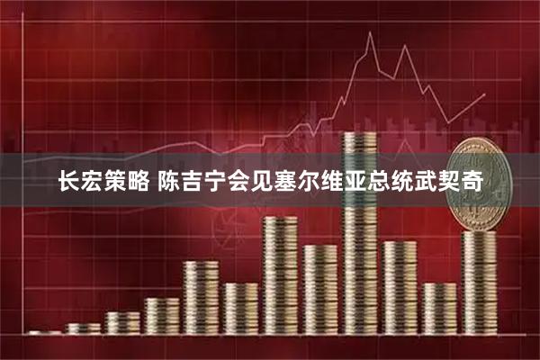 长宏策略 陈吉宁会见塞尔维亚总统武契奇